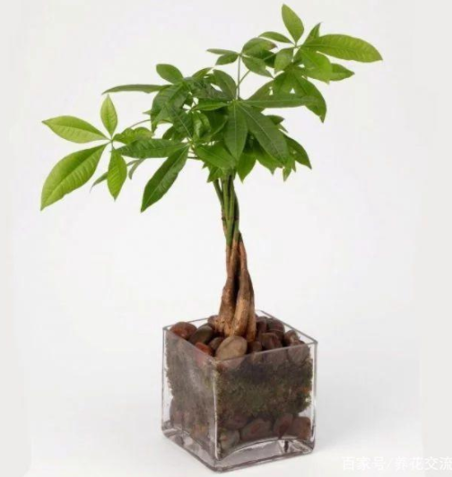picture\7_1552290364113072.png picture\8_image.png